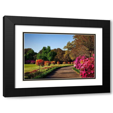 Bellingrath Gardens Alabama II Black Modern Wood Framed Art Print with Double Matting by Alabama Picture Archive