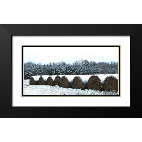 Snow-Covered Hay Rolls-Alabama Black Modern Wood Framed Art Print with Double Matting by Alabama Picture Archive