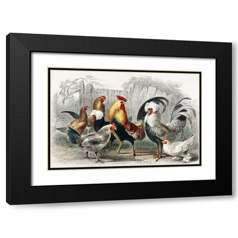 A History of the Earth and Animated Nature Black Modern Wood Framed Art Print with Double Matting by Goldsmith, Oliver