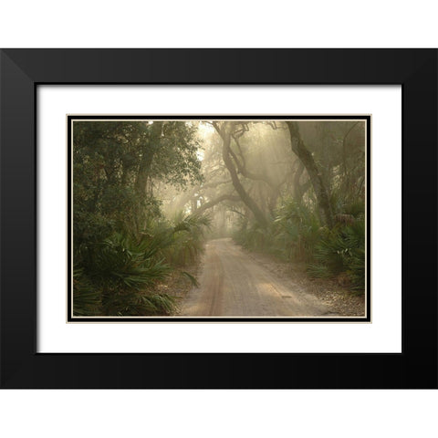 Cumberland Island-Georgia Black Modern Wood Framed Art Print with Double Matting by Georgia Picture Archive