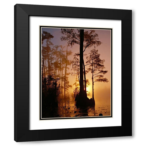 Okefenokee Swamp Sunset-Georgia Black Modern Wood Framed Art Print with Double Matting by Georgia Picture Archive