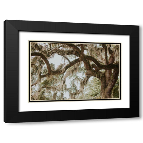 Savannah Georgia Black Modern Wood Framed Art Print with Double Matting by Georgia Picture Archive