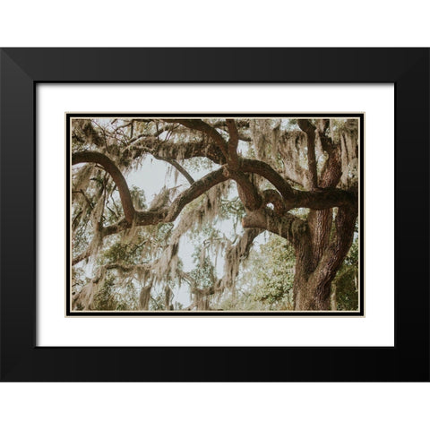 Savannah Georgia Black Modern Wood Framed Art Print with Double Matting by Georgia Picture Archive
