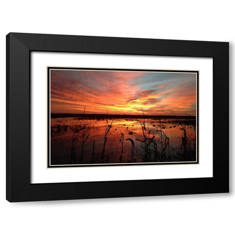 March Sunrise in Missouri Black Modern Wood Framed Art Print with Double Matting by Helmers, Doug