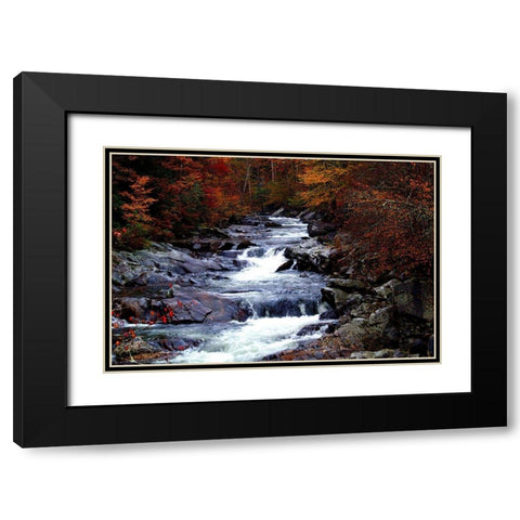 Tennessee Great Smoky Mountains National Park Black Modern Wood Framed Art Print with Double Matting by Tennessee Picture Archive