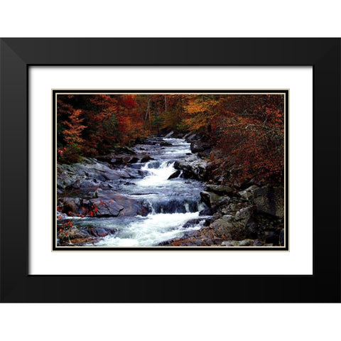 Tennessee Great Smoky Mountains National Park Black Modern Wood Framed Art Print with Double Matting by Tennessee Picture Archive