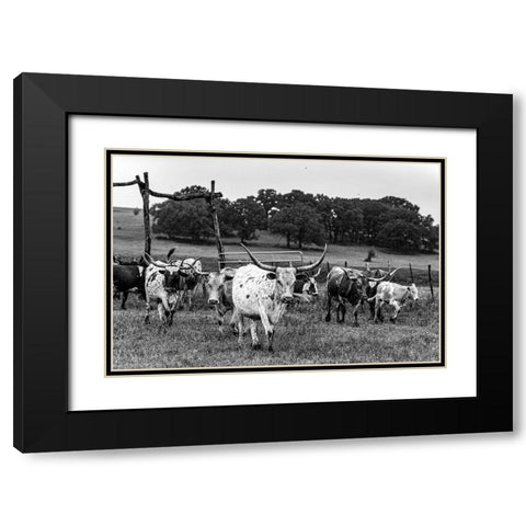 Lonesome Pine Ranch Austin County Texas Black Modern Wood Framed Art Print with Double Matting by Texas Picture Archive