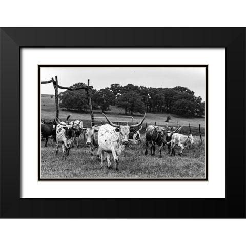 Lonesome Pine Ranch Austin County Texas Black Modern Wood Framed Art Print with Double Matting by Texas Picture Archive