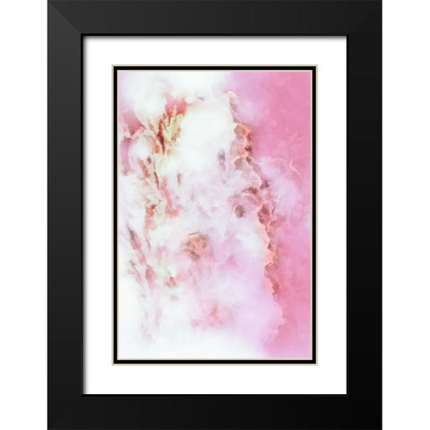 Dreaming of Roses Black Modern Wood Framed Art Print with Double Matting by Alpenglow Workshop