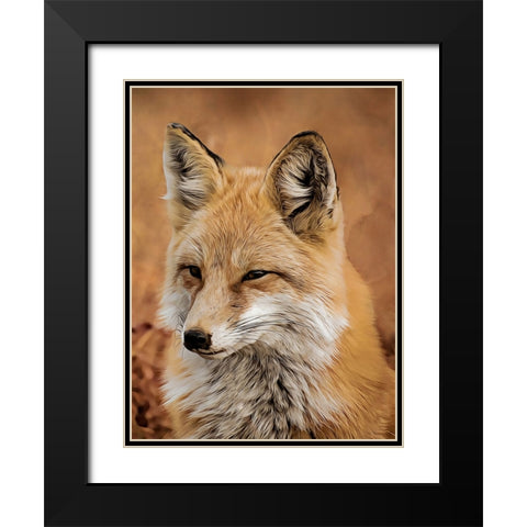 Fox Black Modern Wood Framed Art Print with Double Matting by Alpenglow Workshop