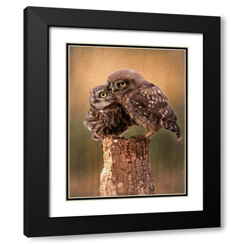 Learning the Ropes Black Modern Wood Framed Art Print with Double Matting by Alpenglow Workshop
