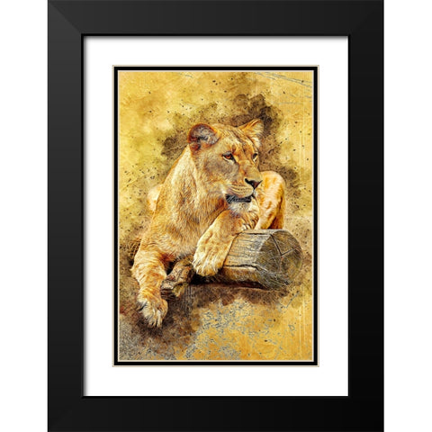 Lioness Black Modern Wood Framed Art Print with Double Matting by Alpenglow Workshop