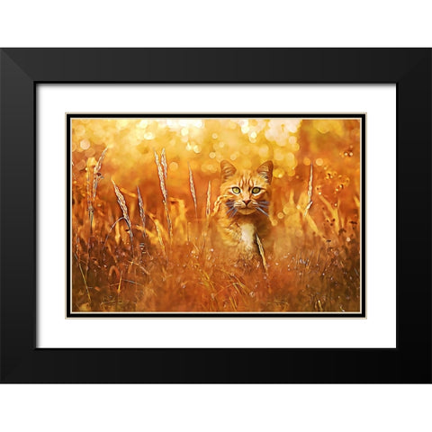 Little Tiger in the Grass Black Modern Wood Framed Art Print with Double Matting by Alpenglow Workshop