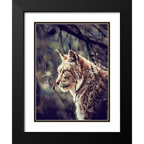 Lynx Black Modern Wood Framed Art Print with Double Matting by Alpenglow Workshop