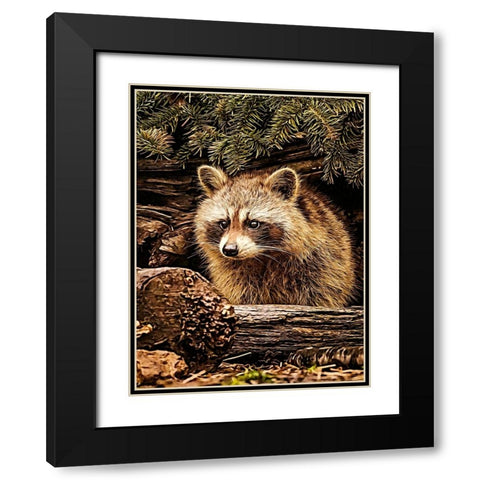 Raccoon Black Modern Wood Framed Art Print with Double Matting by Alpenglow Workshop