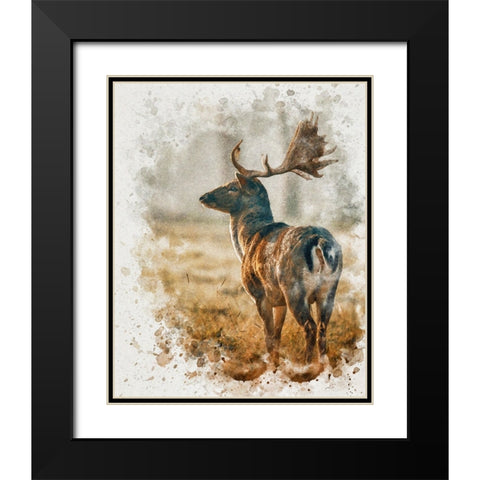 Silent Observer Black Modern Wood Framed Art Print with Double Matting by Alpenglow Workshop