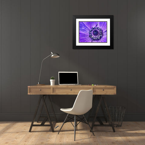Heart of the Anemone Black Modern Wood Framed Art Print with Double Matting by Alpenglow Workshop