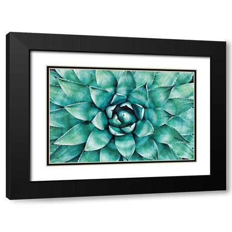 Heart of the Succulent Black Modern Wood Framed Art Print with Double Matting by Alpenglow Workshop