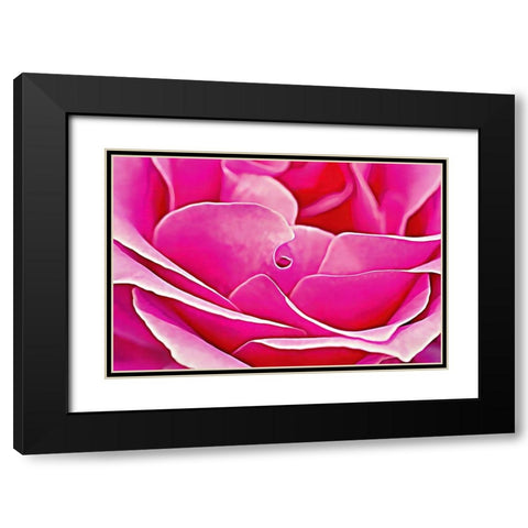 Pink Perfection Rose Black Modern Wood Framed Art Print with Double Matting by Alpenglow Workshop