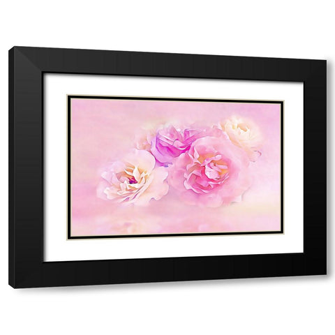 Pink Roses in the Clouds Black Modern Wood Framed Art Print with Double Matting by Alpenglow Workshop