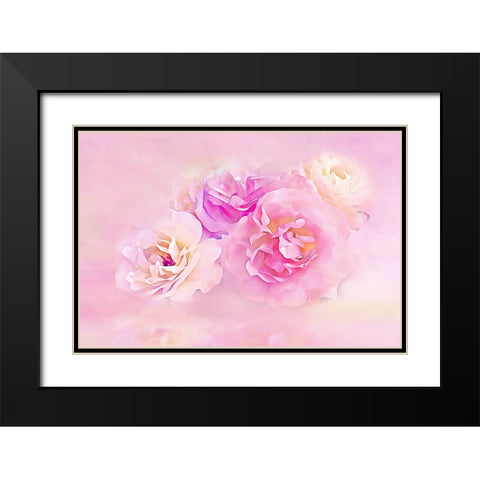 Pink Roses in the Clouds Black Modern Wood Framed Art Print with Double Matting by Alpenglow Workshop