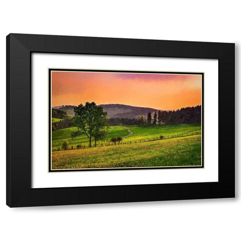 Evening Pasture Black Modern Wood Framed Art Print with Double Matting by Alpenglow Workshop