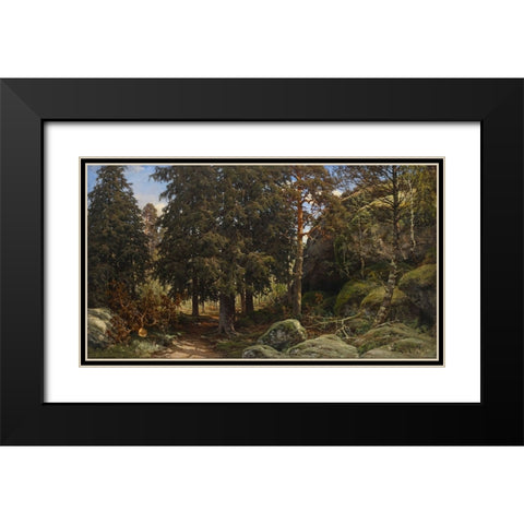 Forest Interior Black Modern Wood Framed Art Print with Double Matting by Alpenglow Workshop