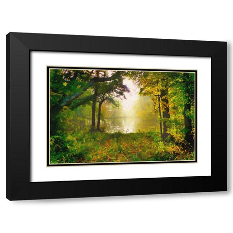 Morning Mist Black Modern Wood Framed Art Print with Double Matting by Alpenglow Workshop