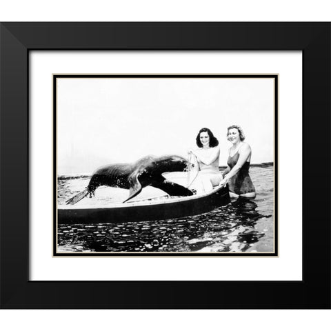 Sharkey the Seal, 1941 Black Modern Wood Framed Art Print with Double Matting by Vintage Hollywood Archive