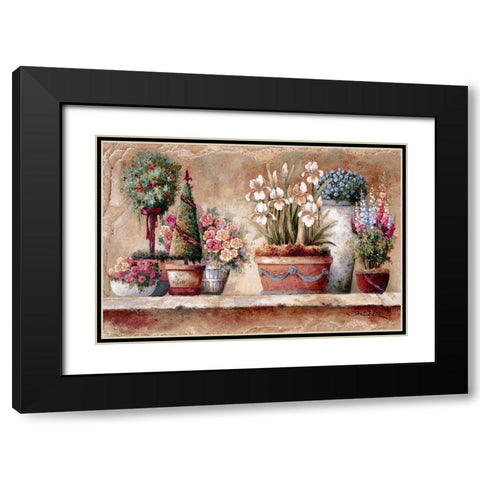 Country Blossoms Black Modern Wood Framed Art Print with Double Matting by Lee, James