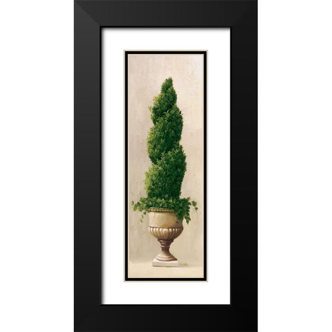 Roman Topiary I Black Modern Wood Framed Art Print with Double Matting by Welby