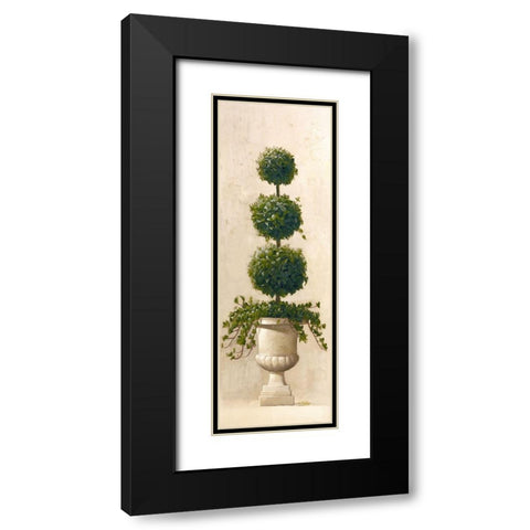 Roman Topiary II Black Modern Wood Framed Art Print with Double Matting by Welby