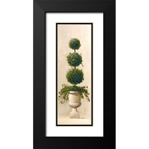 Roman Topiary II Black Modern Wood Framed Art Print with Double Matting by Welby