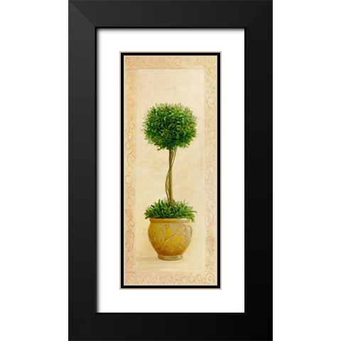 Ball Topiary I Black Modern Wood Framed Art Print with Double Matting by Welby