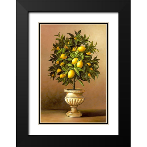 Potted Lemon Tree Black Modern Wood Framed Art Print with Double Matting by Welby