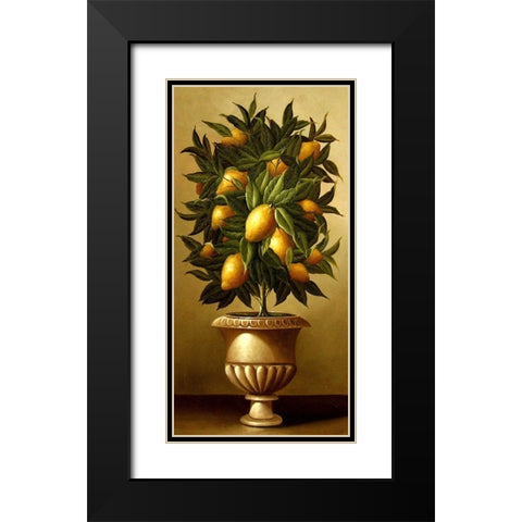 Lemon Topiary  in Marble Urn Black Modern Wood Framed Art Print with Double Matting by Welby