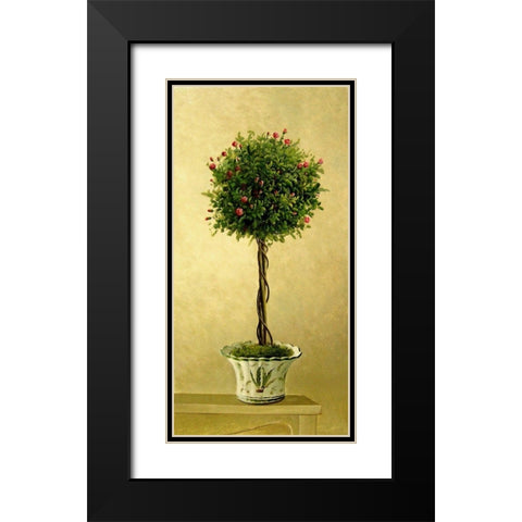 Pink Rose Topiary I Black Modern Wood Framed Art Print with Double Matting by Welby