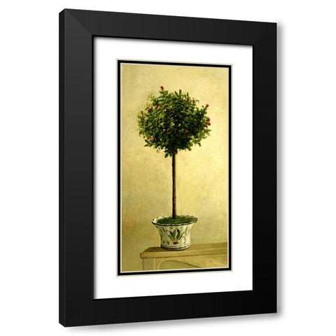 Pink Rose Topiary II Black Modern Wood Framed Art Print with Double Matting by Welby