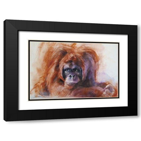 The Daydreamer Orangutan Black Modern Wood Framed Art Print with Double Matting by Campbell, Robert