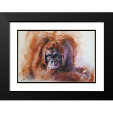 The Daydreamer Orangutan Black Modern Wood Framed Art Print with Double Matting by Campbell, Robert