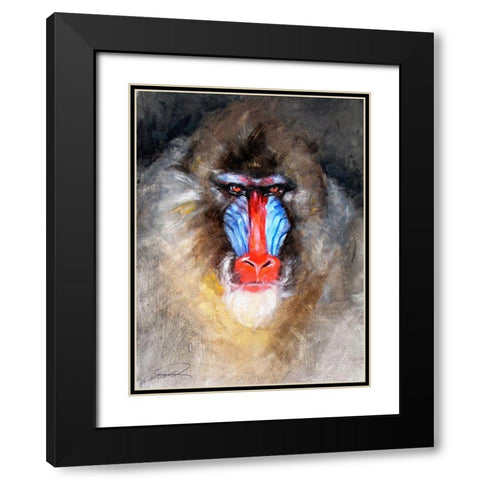 Blushing Mandrill Black Modern Wood Framed Art Print with Double Matting by Campbell, Robert