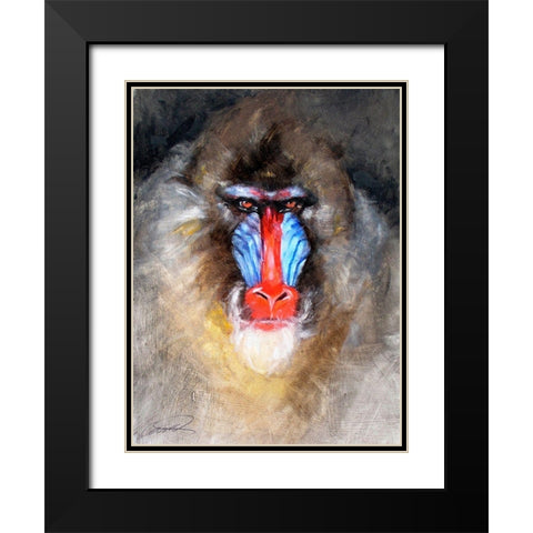 Blushing Mandrill Black Modern Wood Framed Art Print with Double Matting by Campbell, Robert
