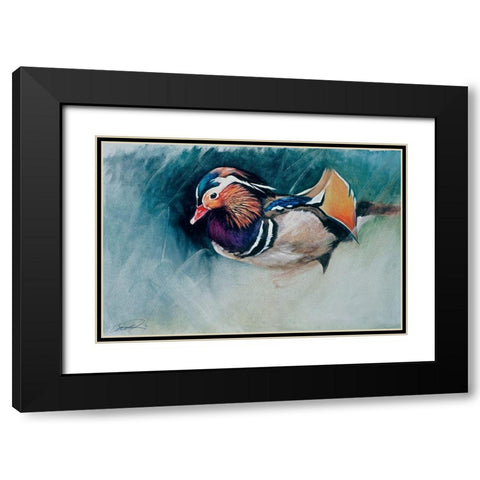 Mandarin Duck Soup Black Modern Wood Framed Art Print with Double Matting by Campbell, Robert