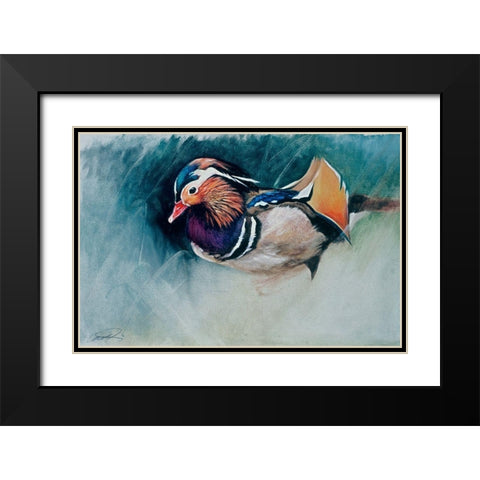 Mandarin Duck Soup Black Modern Wood Framed Art Print with Double Matting by Campbell, Robert