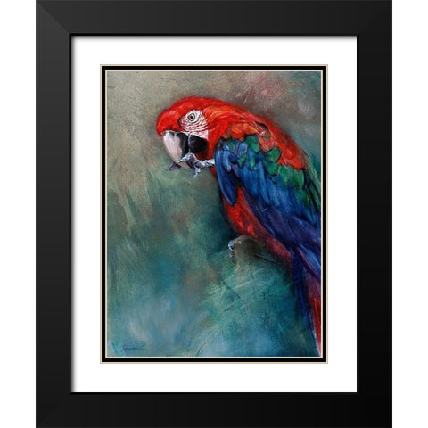 Aw Macaw Black Modern Wood Framed Art Print with Double Matting by Campbell, Robert