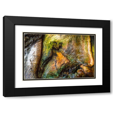 Dionysus Black Modern Wood Framed Art Print with Double Matting by Cooper, Helena