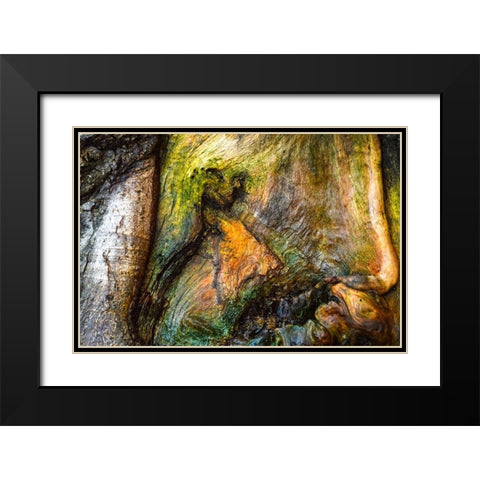 Dionysus Black Modern Wood Framed Art Print with Double Matting by Cooper, Helena