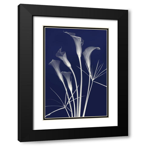 Elongated Elegance in Indigo Black Modern Wood Framed Art Print with Double Matting by Robertson, Leda