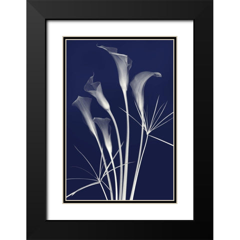 Elongated Elegance in Indigo Black Modern Wood Framed Art Print with Double Matting by Robertson, Leda