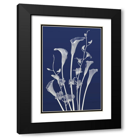 Freiends Forever in Indigo Black Modern Wood Framed Art Print with Double Matting by Robertson, Leda